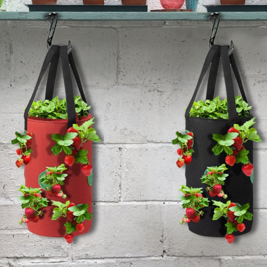 Vertical Strawberry Grow Bags | Patio & Balcony Gardening