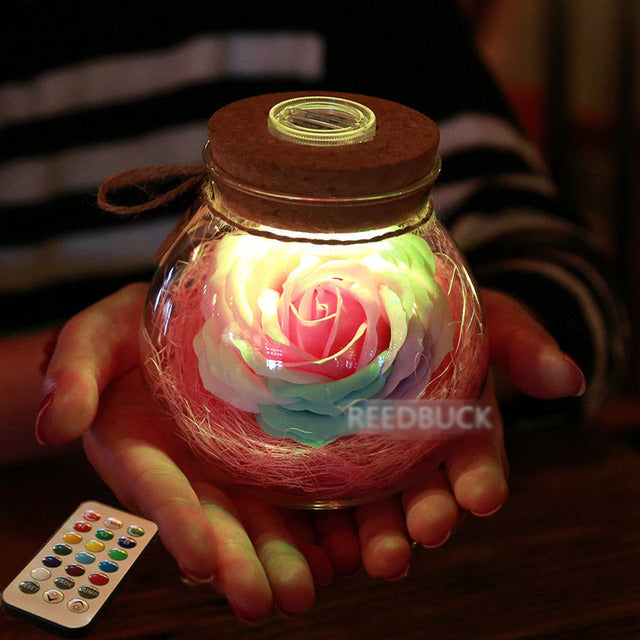 Lit Rose Bottle | Everyday Gifts