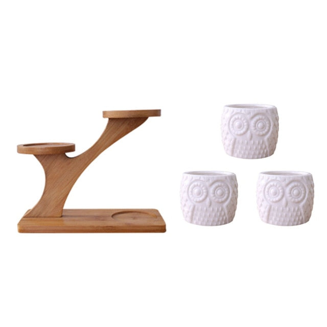 OwlTree | Ceramic Owl Mini-Pots & Wooden Stand