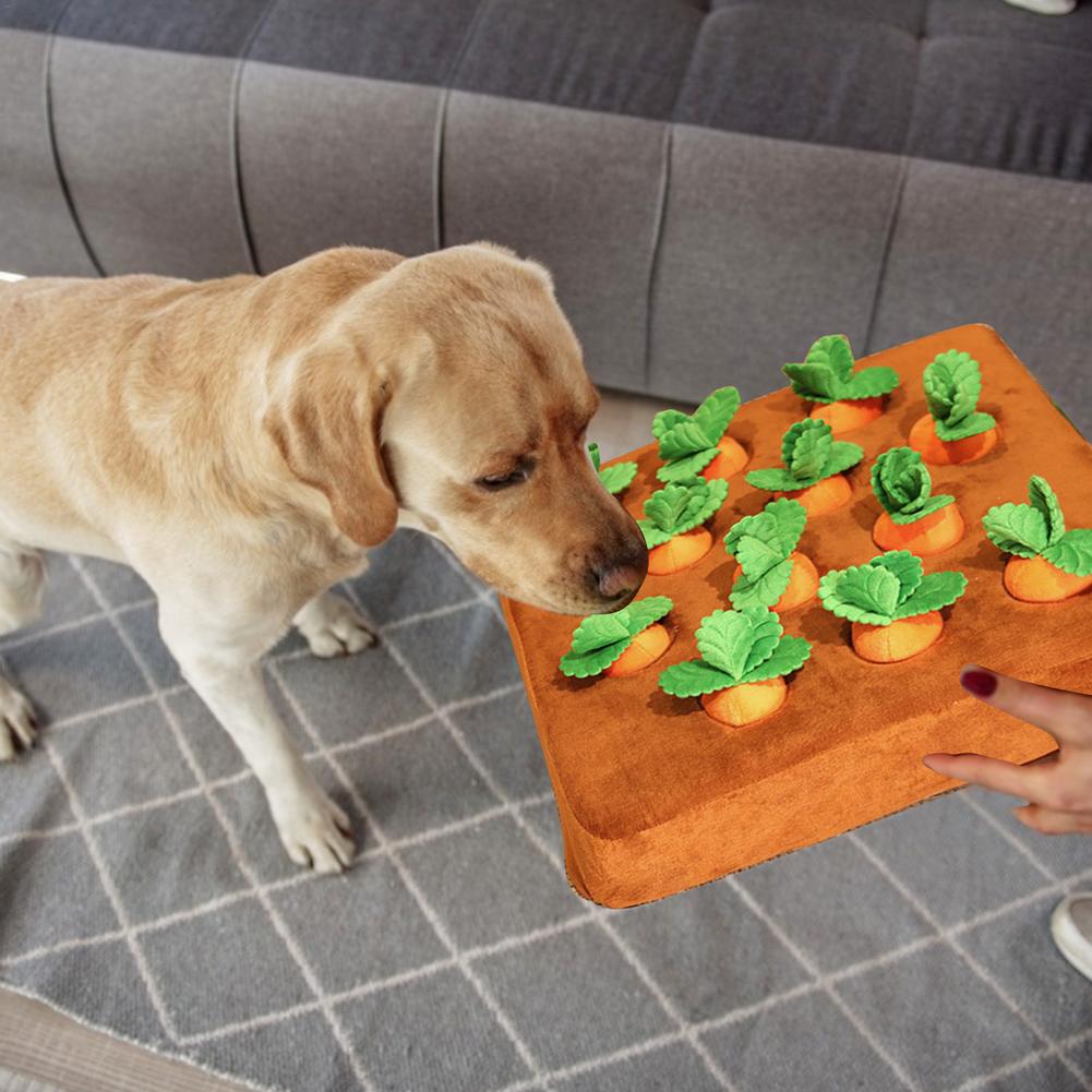 Carrot Snuffle Pillow with Stuffed Carrots - Solutiverse