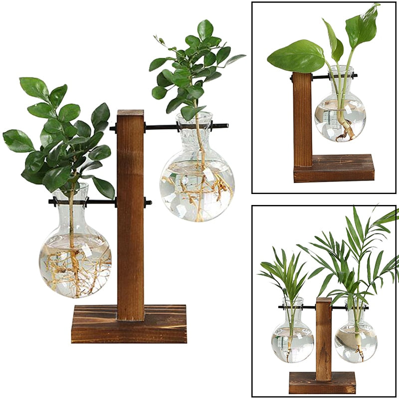 DoubleVase | Elegant Hydroponic Vase & Wooden Stand