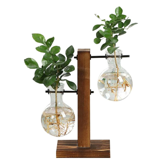 DoubleVase | Elegant Hydroponic Vase & Wooden Stand