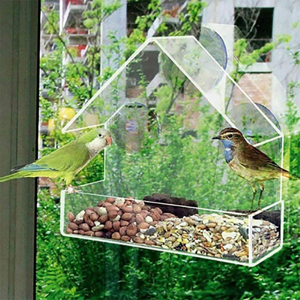 BirdCastle | Transparent Bird Feeder/House | Window-Mounted - Solutiverse