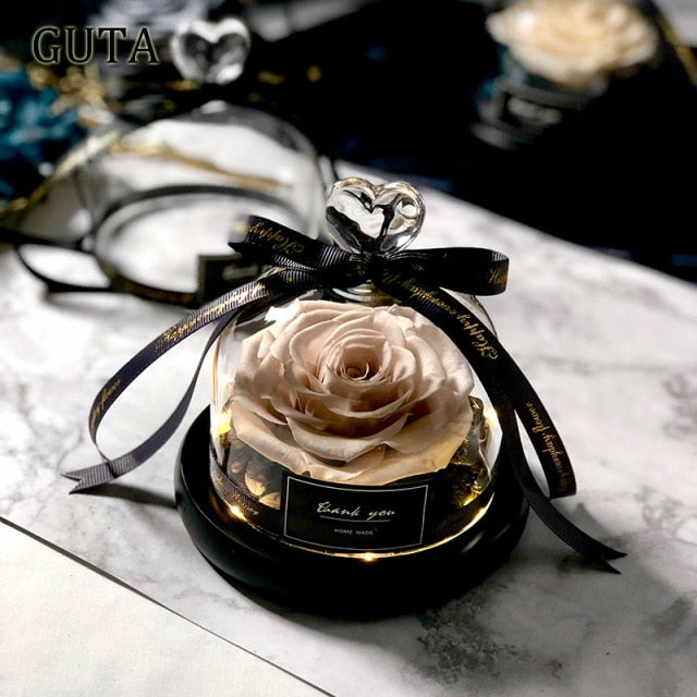 Valentine's Forever Vase Rose - Solutiverse