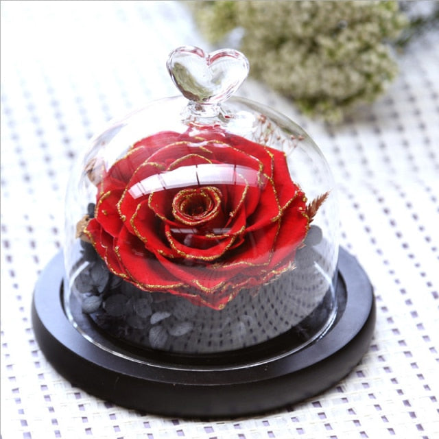 Valentine's Forever Vase Rose - Solutiverse