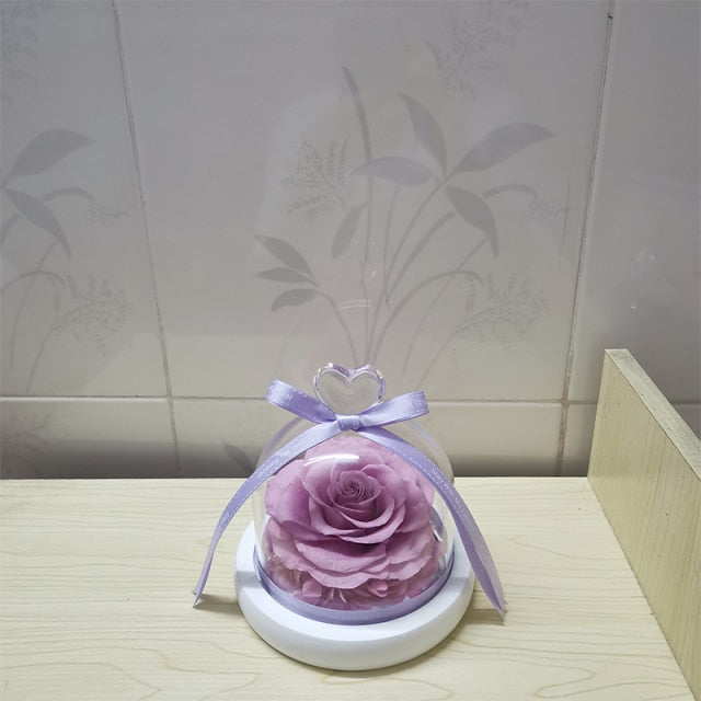 Valentine's Forever Vase Rose - Solutiverse