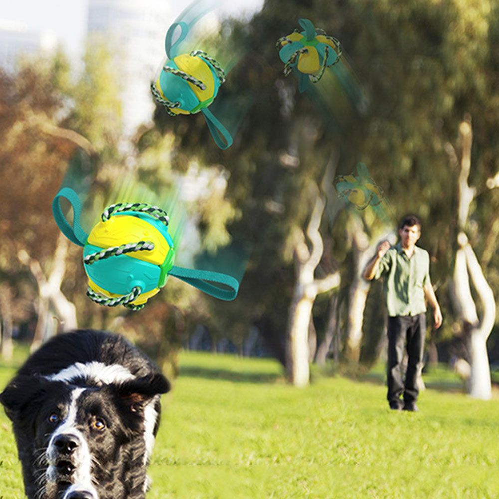 Doggy's ThrowBee | Dog Frisbee Ball - Solutiverse