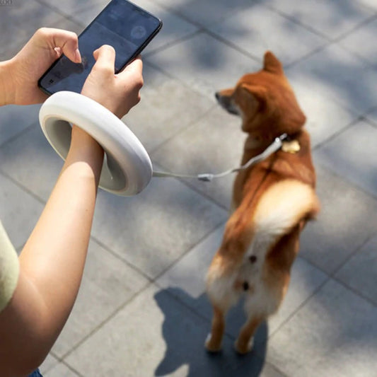 Hands-Free Retractable Leash With Light