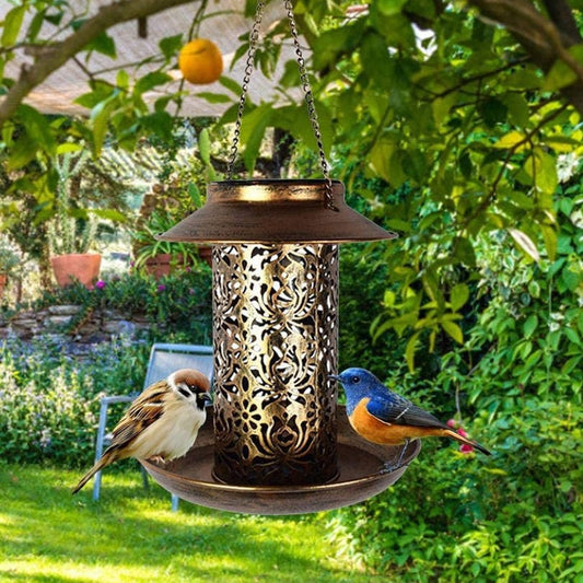 Light-Up Bird Feeder | Hanging Outdoor Decor