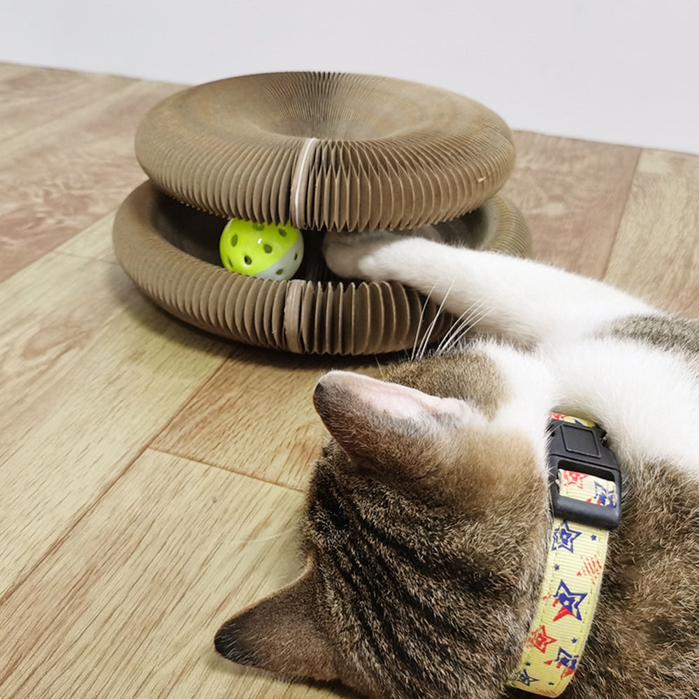 Magic Transforming Cat Ball Game Toy